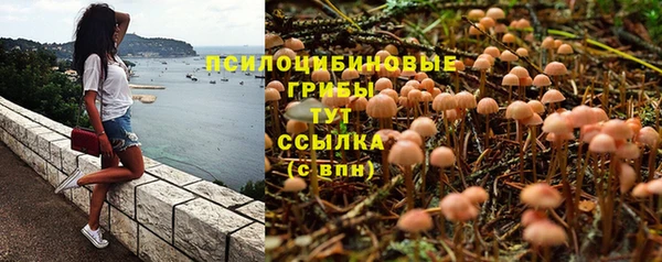 молекула духа Нефтегорск