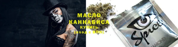 молекула духа Нефтегорск