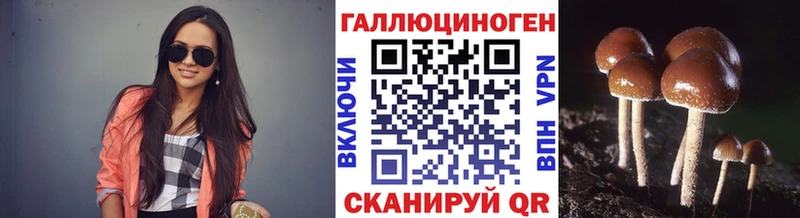 Галлюциногенные грибы Psilocybe Пыталово